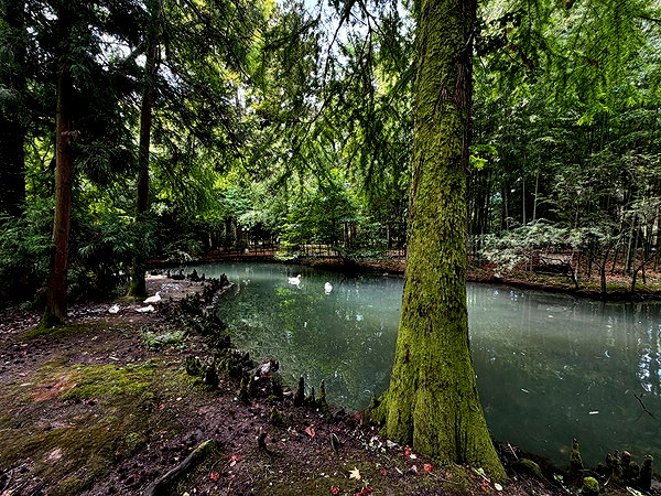 amatveyko instagram image archive image
