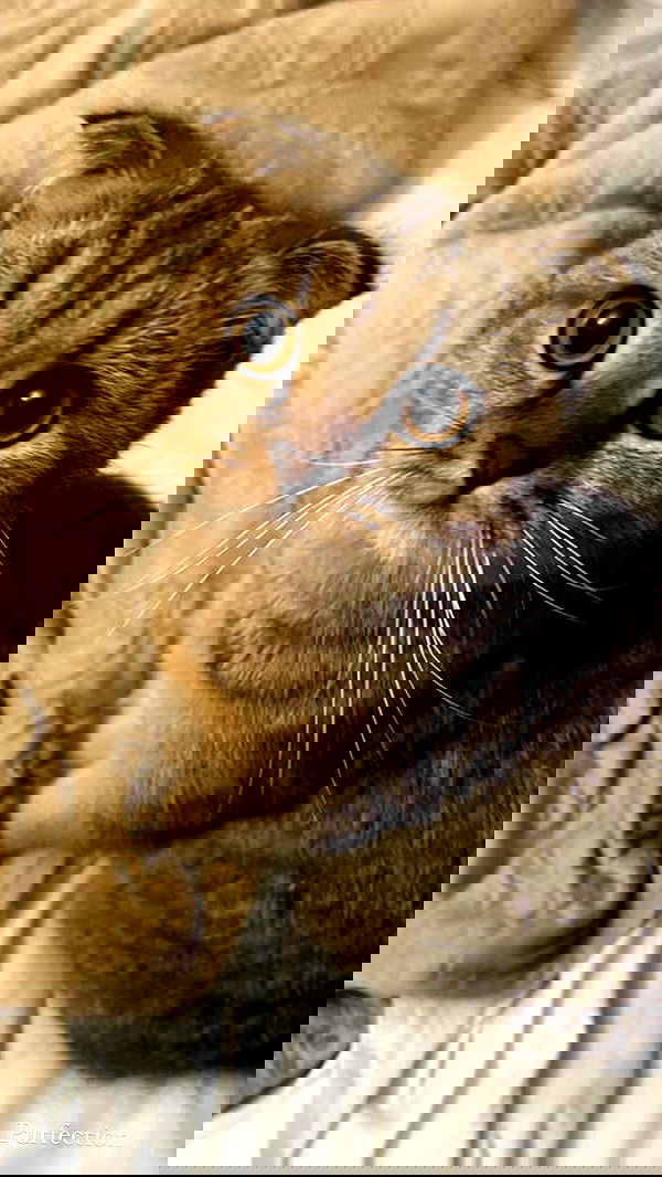 taylor.creeden taylor.creeden archive image