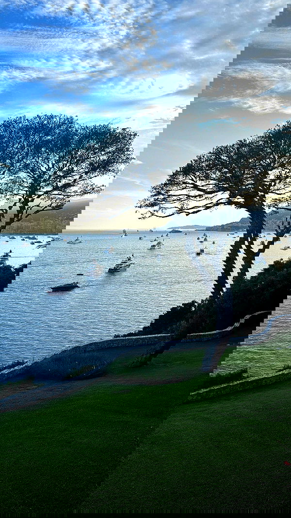 taylor.creeden taylor.creeden archive image