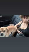 alma.almog Altpins Profile Picture