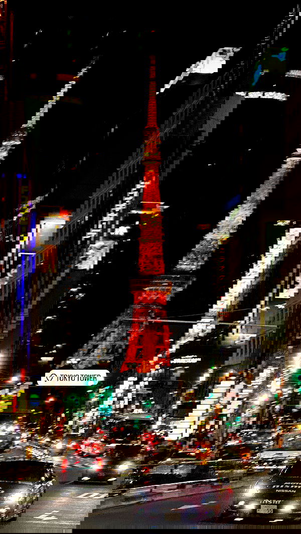 taylor.creeden taylor.creeden archive image