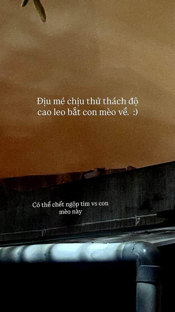 31cna_ instagram image archive image