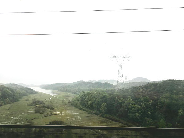 dwpolin instagram image archive image