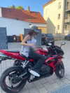 elviksi_07 Altpins Profile Picture