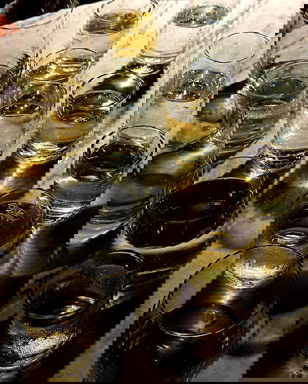 taylor.creeden taylor.creeden archive image