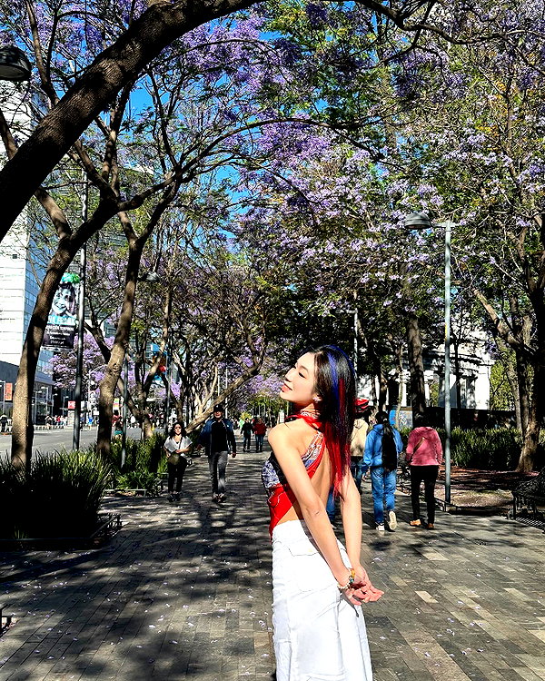 shulunc instagram image archive image