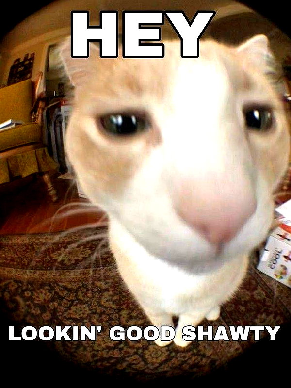 milkiwifey instagram image archive image