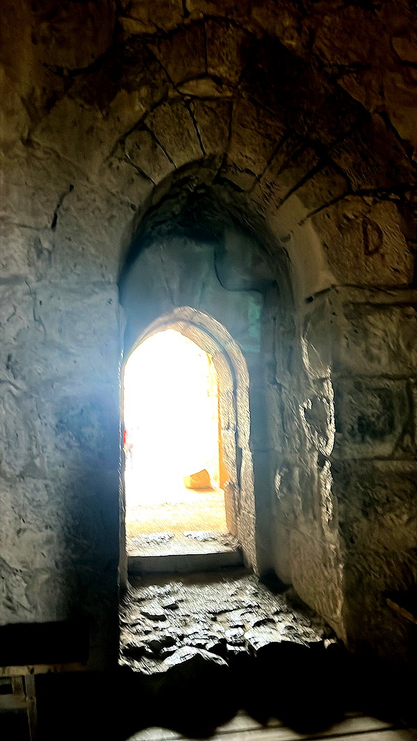 sh1razv instagram image archive image