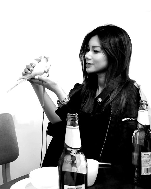 kelseydopegal instagram image archive image
