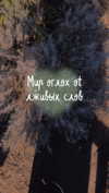 alisen.mari Altpins Profile Picture