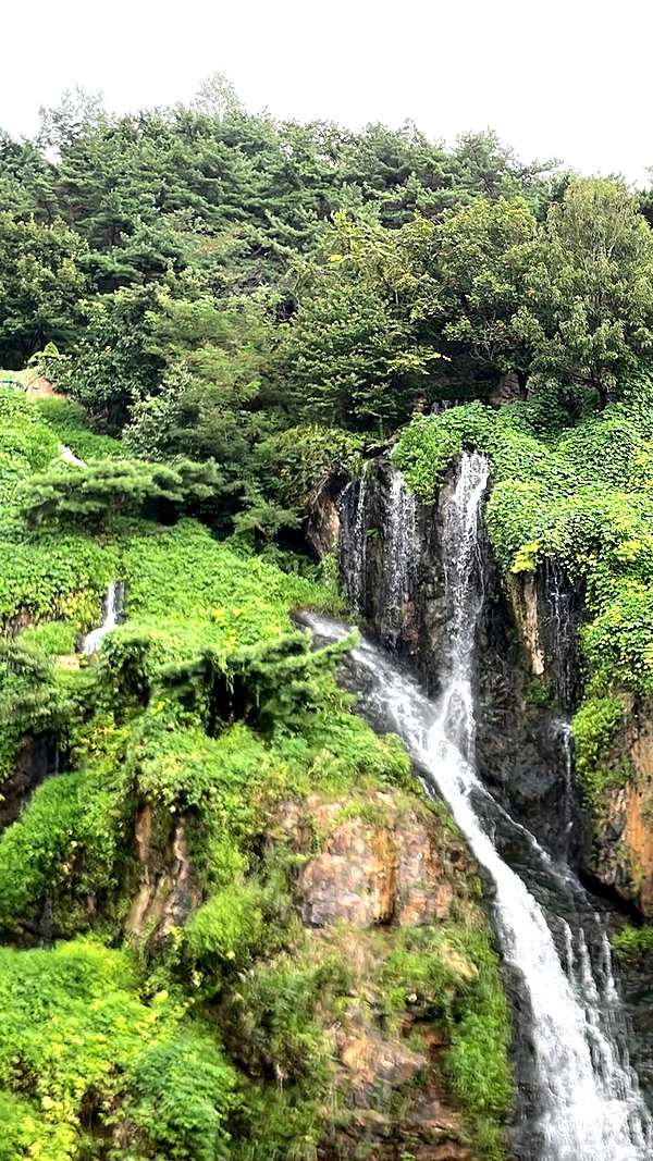 dante_yangpa instagram image archive image