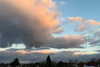 solzarubin_ Altpins Profile Picture