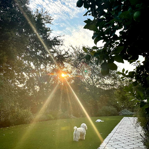 lucyhale instagram image archive image