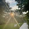 lucyhale Altpins Profile Picture