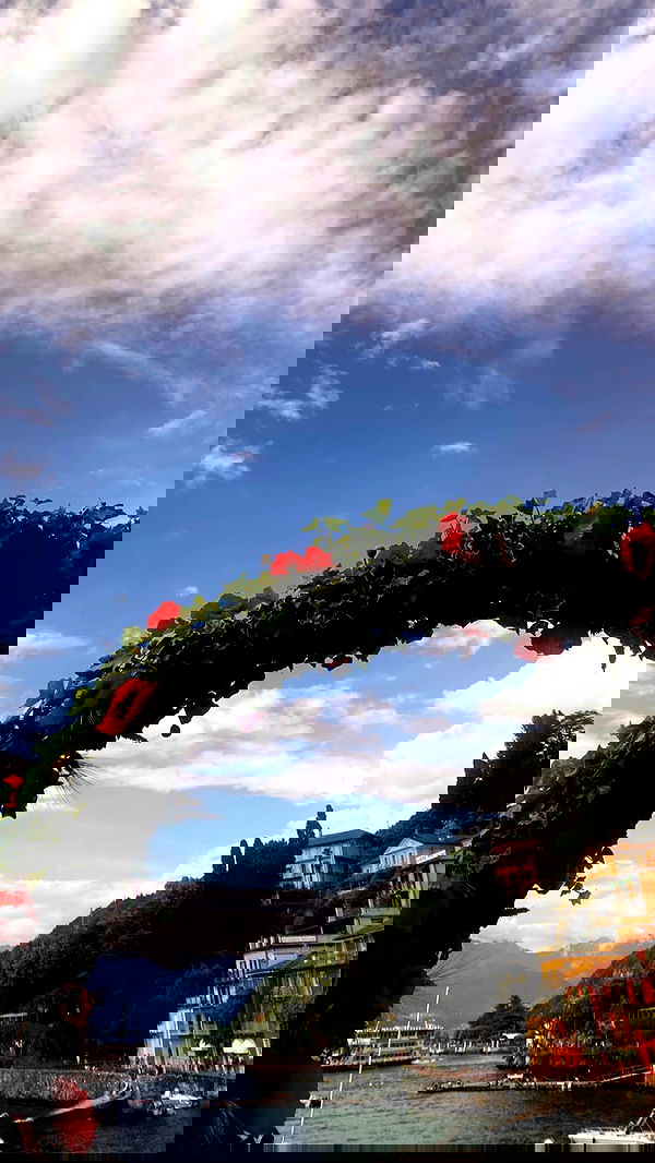 taylor.creeden taylor.creeden archive image