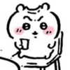 itsnokiiia Altpins Profile Picture