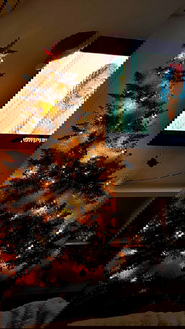 laluzone laluzone archive image