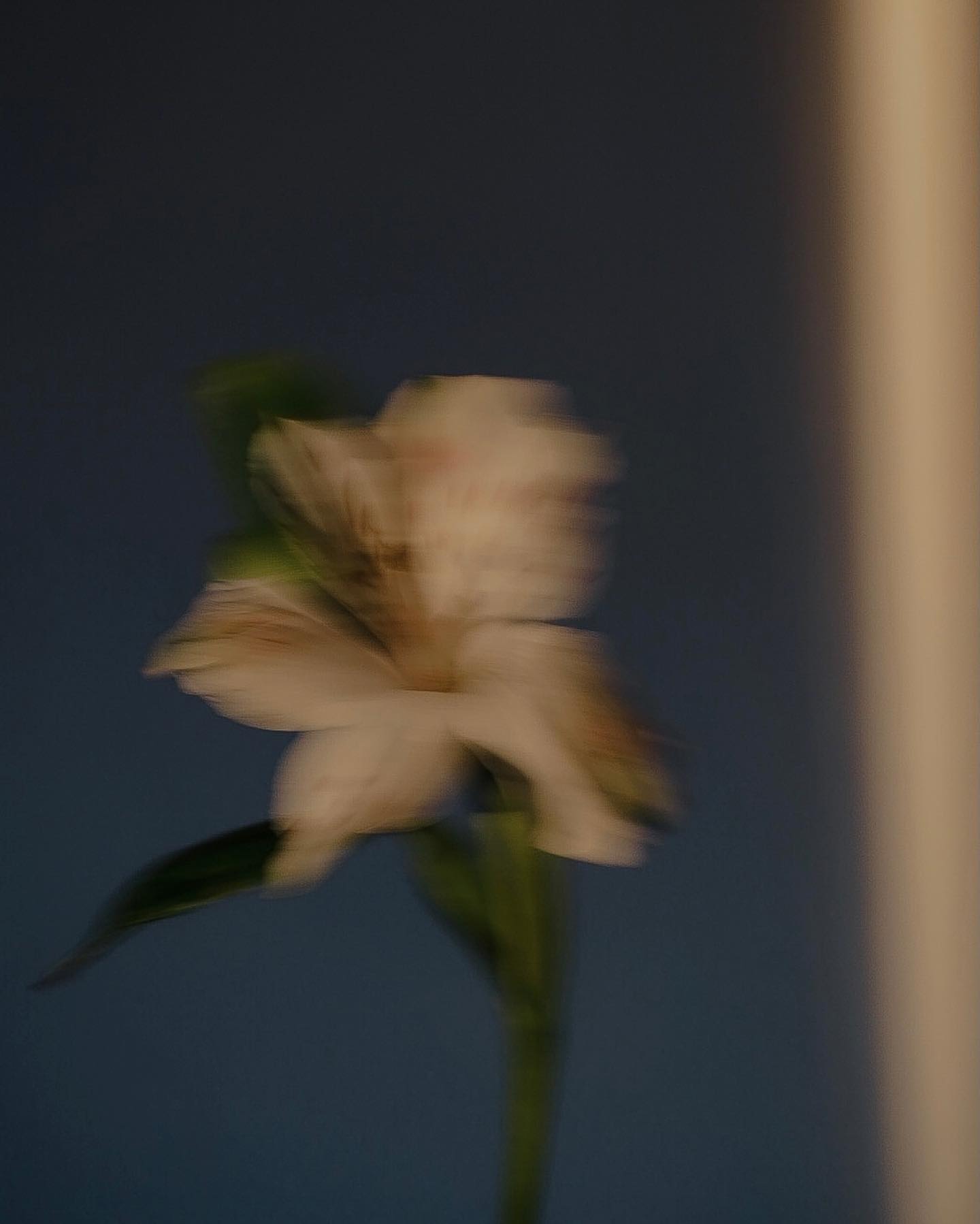 kkulakovaa instagram image archive image