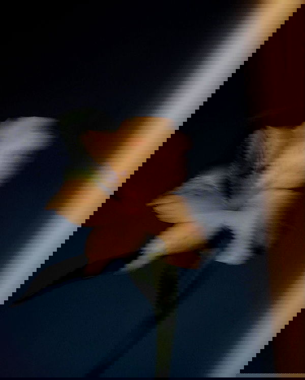 kkulakovaa image ~ Altpins