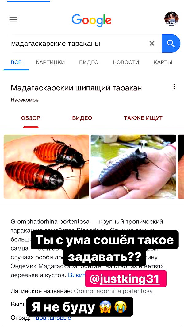 pokrov90 instagram image archive image