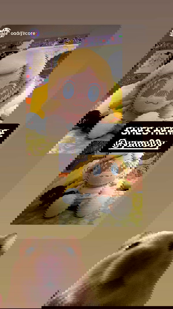 yam00y yam00y archive image