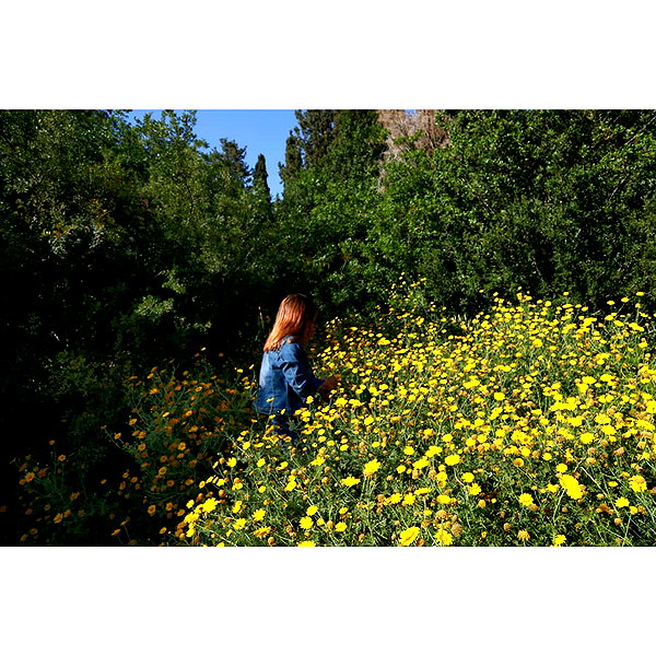 yanavekno instagram image archive image