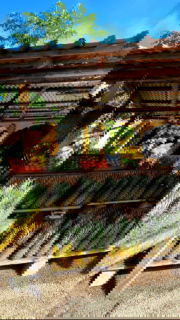 manjolamuriqi manjolamuriqi archive image