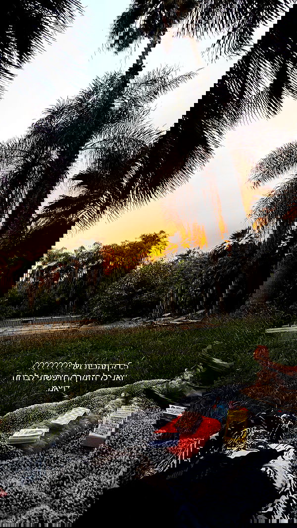 strawberryshanz strawberryshanz archive image