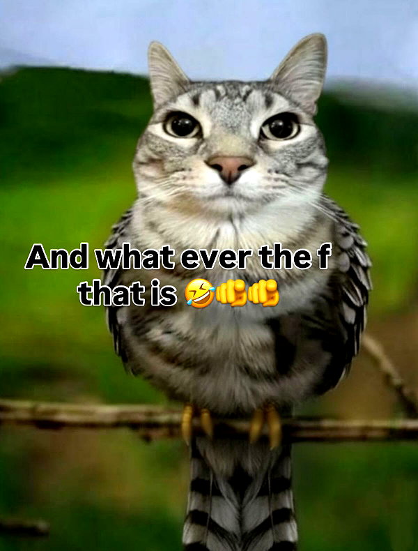 milkibunshehe instagram image archive image