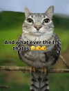milkibunshehe Altpins Profile Picture