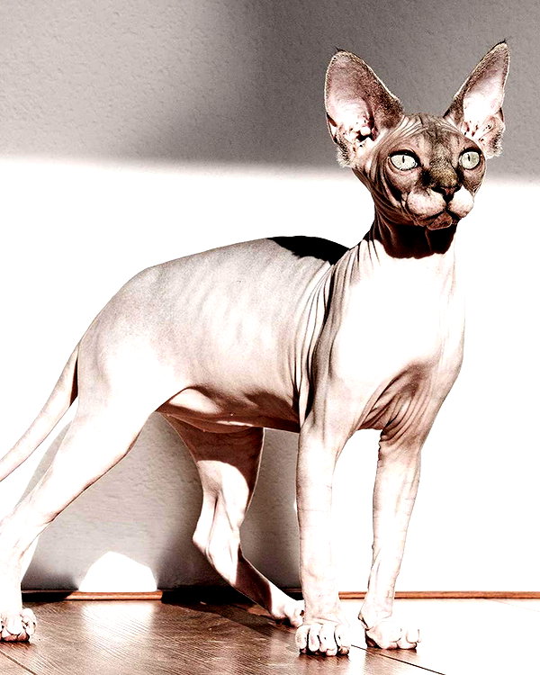 bugz4brainz instagram image archive image