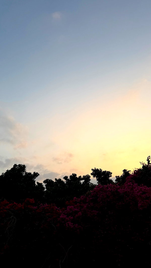 efrat_elmalich instagram image archive image