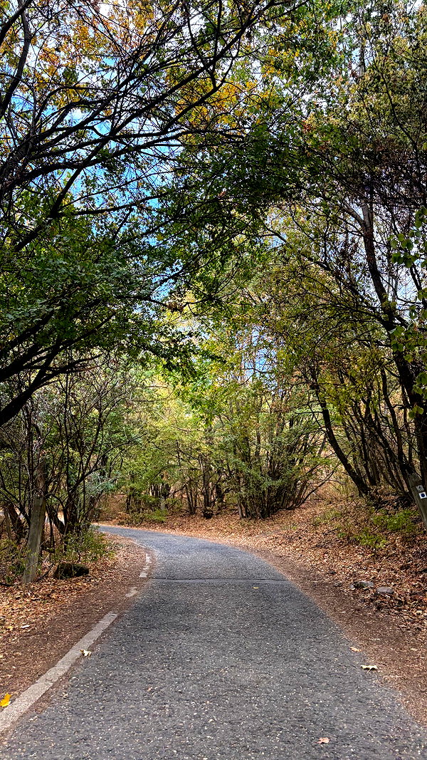 hagarschubert instagram image archive image