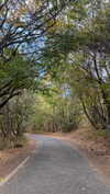 hagarschubert Altpins Profile Picture
