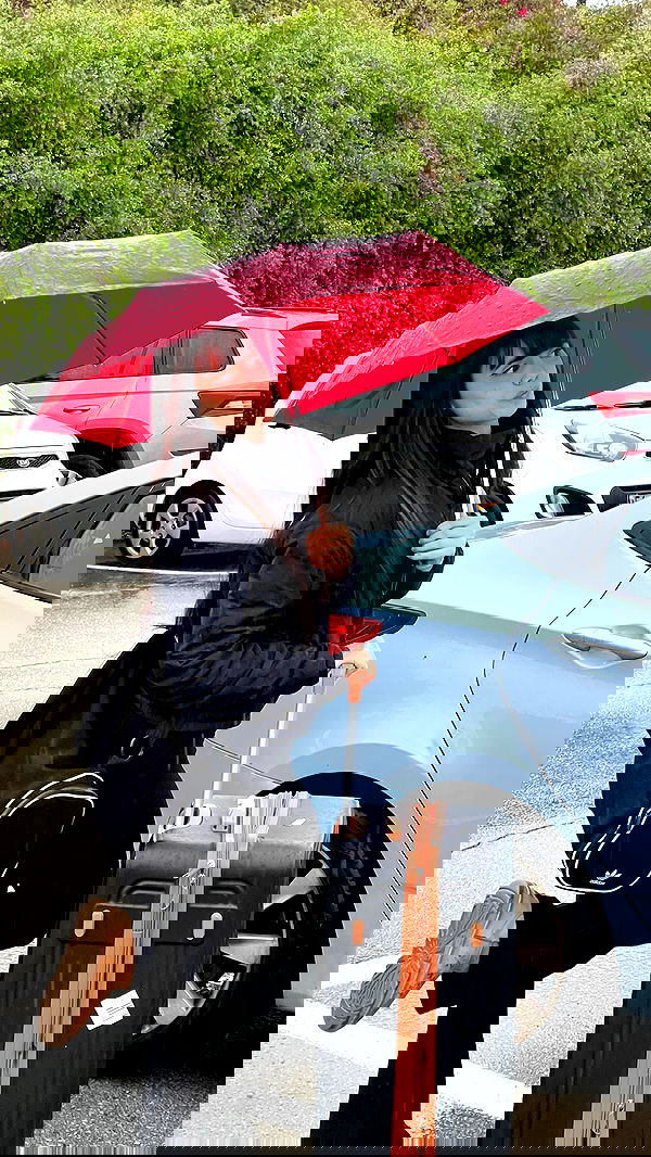 rinsrain rinsrain archive image