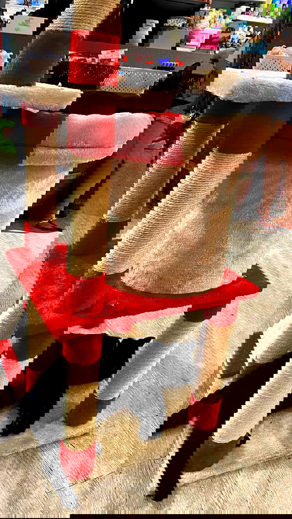 mishel116 mishel116 archive image