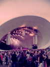 cannonstheband Altpins Profile Picture
