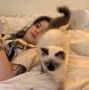 evasela__ Altpins Profile Picture