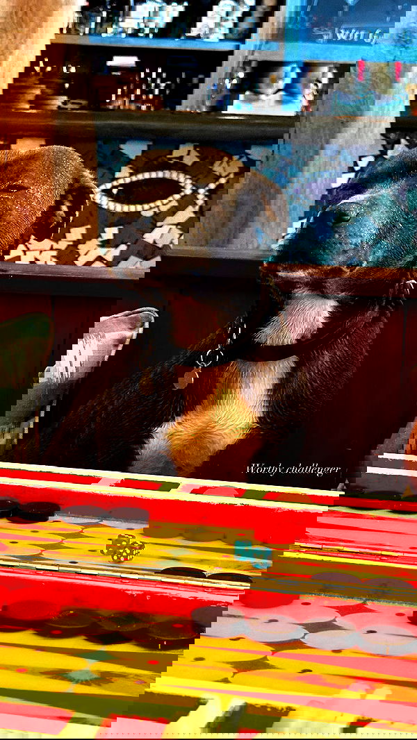 taylor.creeden taylor.creeden archive image