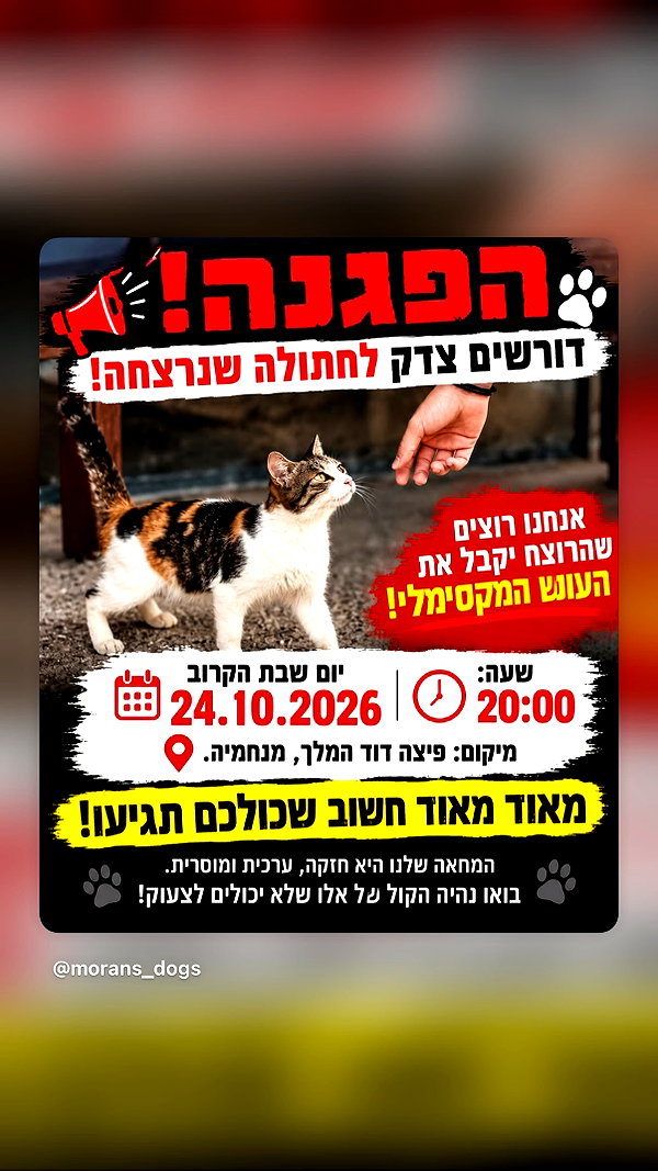 Archived image from @efrat_elmalich on Instagram