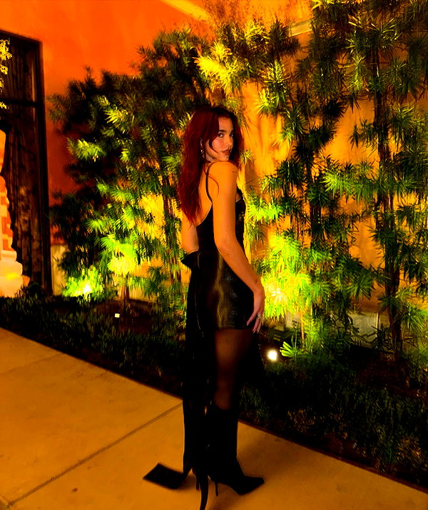 dualipa instagram image archive image
