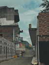 ronyida_ Altpins Profile Picture