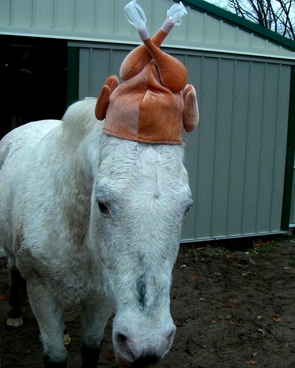 peachtoot.plz instagram image archive image