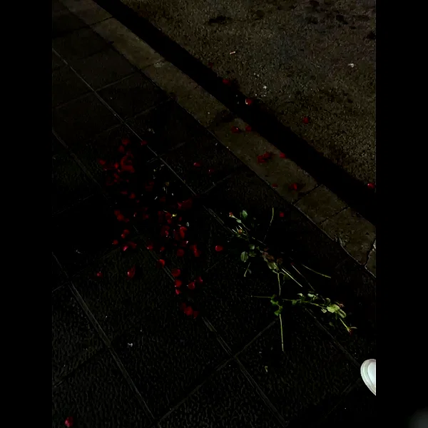 tokyo.shi instagram image archive image