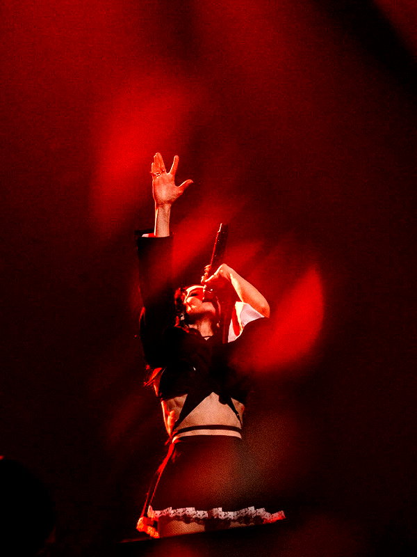 impoppy instagram image archive image