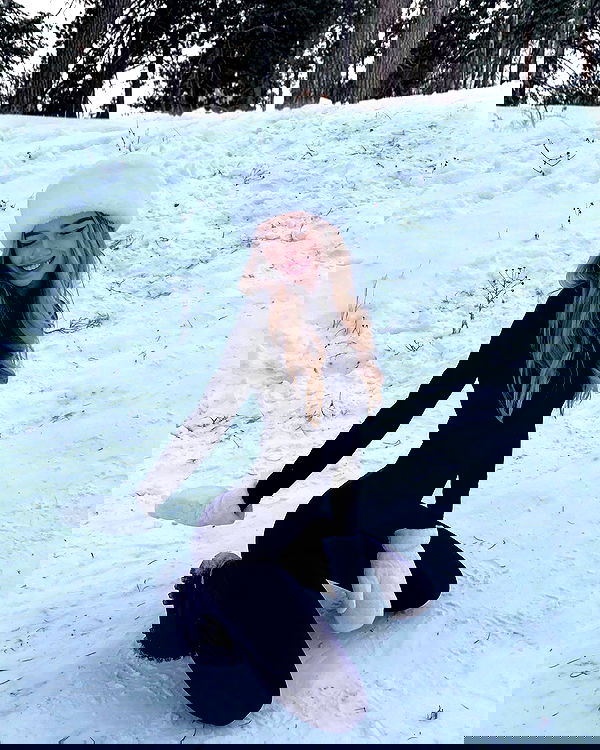 pinx_ir pinx_ir archive image