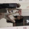 ambrzinha666 Altpins Profile Picture