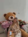 yulia_l1 Altpins Profile Picture