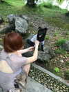 fair_mua Altpins Profile Picture