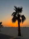 seline_paz Altpins Profile Picture